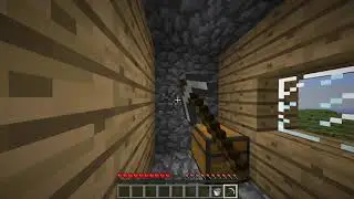 Minecraft Survival 