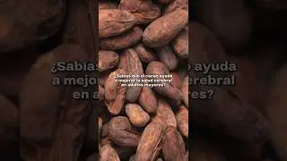 El cacao ayuda a mejorar la salud cerebral en la tercera edad