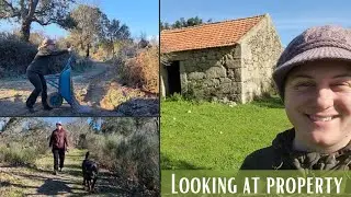 And VOLUNTEERING at an Animal ASSOCIATION - Vanlife PT.