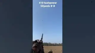 410 Hushpower best shots