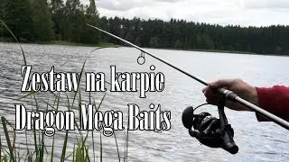Dragon Mega Baits Combat Carp / wędka, kołowrotek, żyłka na karpie