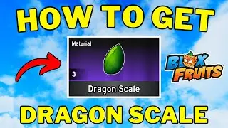 How To Get Dragon Scales in Blox Fruits | Dragon Scale Blox Fruits 2025 | Roblox