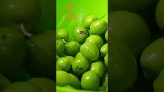 The best brine cured olives ever#recipe #yummyfood #tasty #aleppian_nights