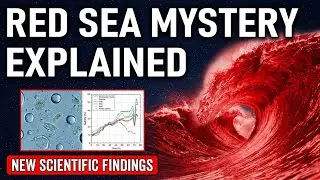 Scientists Investigate the RED Sea Miracle Did it Really Happen?