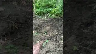 Hidey Hole Food Plot Prep ! #stihl #chainsaw #foodplots #hideyhole #growingdeer #farming #indiana
