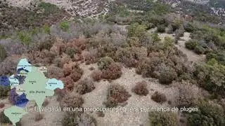 Sequera comarca 