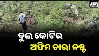 Illegal Opium Cultivation Busted in Similipal Forest  || JBR Samachar