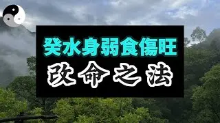 【限時公開】癸水身弱食伤旺的命造事业财运命理详解｜丁卯 壬寅 癸丑 乙卯｜陰陽五行. 天干地支｜八字命理風水