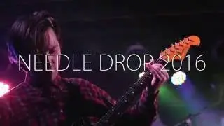 Dalinian - Needle Drop 2016 - Michigan Artist Vinyl Compilation, Vol. II