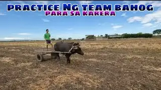 EP,1098. Practice Ng team bahog para sa karera