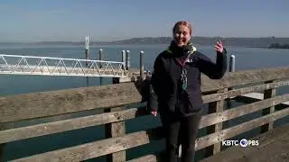 The Foss Waterway