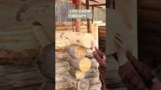 Log Cabin Therapy Unleashed: Build Serenity from Scratch  #viralvideo #trending