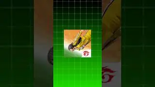 GOOD NEWS FREE FIRE INDIA 😍 |