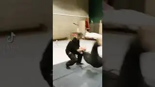 Seven Star Mantis self defense, traditional Chinese Gung Fu