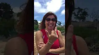 LOCGShow