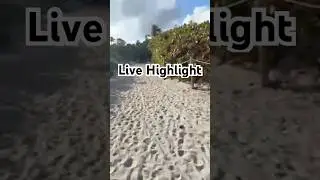 Live highlight #usa #america #miamibeach #маями #сша #livestream