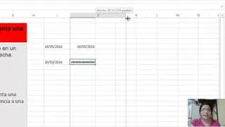 Funci&oacute;n FECHANUMERO en Excel.