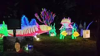 Amazing, Asian Lantern Festival: Into the Wild: Sensory Friendly Night, Highlights 2025 | Real Sound