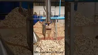 Agarwood #oil #manufacture