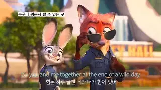[1 HOUR/가사 해석] 왜 이래? 날 사랑하면서 🦊❤️🐰 | Shakira - Zoo (From “Zootopia 2”)