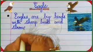 10 Lines Essay on Eagle | Eagle Essay Writing in English | Eagle Essay  Cursive Writing| Eagle Essay