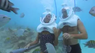 SEA TREK®: CAMINATA SUBMARINA | Xcaret México! Cancún Eco Park