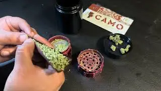 How To: ROLL A BLUNT!: Using Camo Wraps  (FAT CONE 2.5 Grams!)
