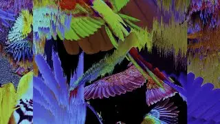 PLS&TY - Run Wild [Official Audio]