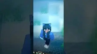 Minecraft coffin dance