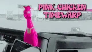 Розовый цыпленок TIMEWARP