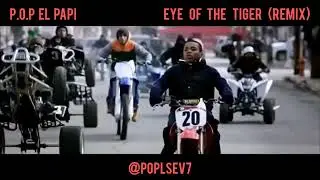 Creed Training - Michael B. Jordan - Eye Of The Tiger (Remix) D.A.M GANG