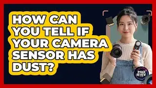 How Can You Tell If Your Camera Sensor Has Dust?