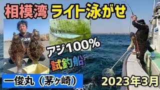 【相模湾ライト泳がせ①】 ヒラメ 餌がアジの場合 一俊丸 試釣船 2023年３月 #47