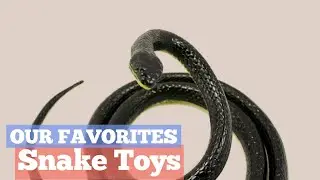 Our Favorites Snake Toys | Trending Searches On Amazon