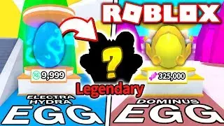GETTING THE NEW *LEGENDARY* PET in Bubble Gum Simulator DOMINUS Update!! (Roblox)