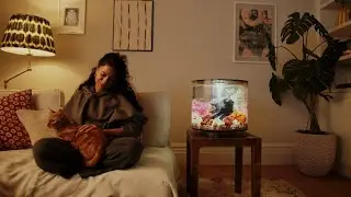 Add Bliss to Your Home ⎸ biOrb Aquariums