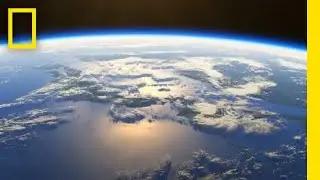 A Nat Geo Earth Day Adventure | Branching Out | Trailer