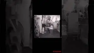 When Home Security Cameras Capture This