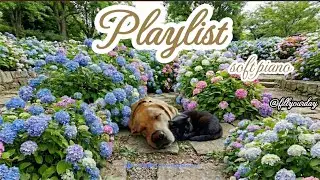 🎹 Playlist | Calm Relaxing Soft Piano | 조용한 피아노 음악