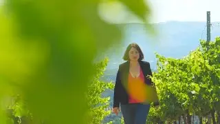 Wines of Crete - Protected Geographical Indication Crete - Chania - Sommelier Anna Maria Kambouraki