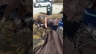 yak hide