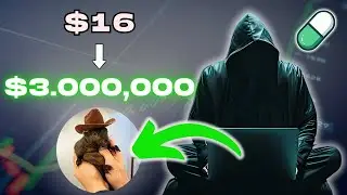Meme coin Trader turned $16 to over $3,000,000 with PNUT