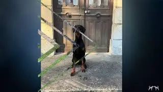 ATHOS DELLA GUARDIA NERA