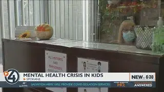 Worried about your child's mental health? Here's what experts say you should look out for.