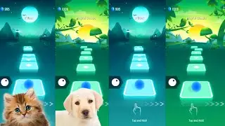 Tiles hop EDM Rush   Cute cat vs Cute dog on Ball Games channel