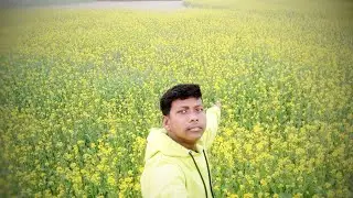 🌼 পুরো জায়গা জুড়ে সরষে বাগানে ভর্তি 💛🌾 চোখ জুড়ানো দৃশ্য 😍