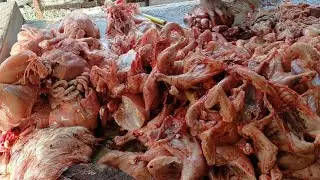 Chicken cutting shop | desi chicken poultry chicken murgi गाड़ी pickup chicken skill hen murgi 🐔🍗
