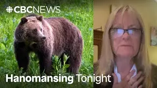Bella Coola resident calls grizzly attack 'pretty terrifying' | Hanomansing Tonight
