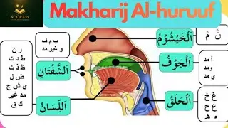 Manya obuvo bwe'enyukuta eya غ. Letter articulation points 