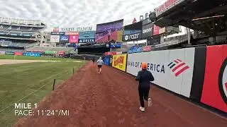 NY Yankees Pinstripe 5K 2025
